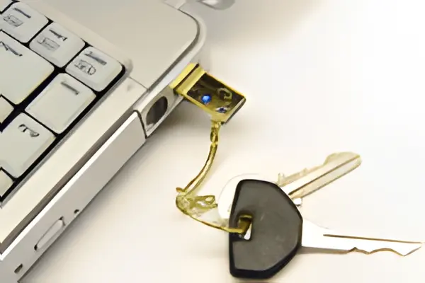 Sharing USB Protection Dongle