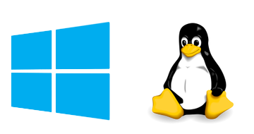Windows和Linux